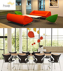 Casa Shops: Hive Modern
